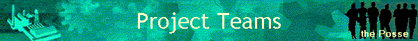 Project Teams